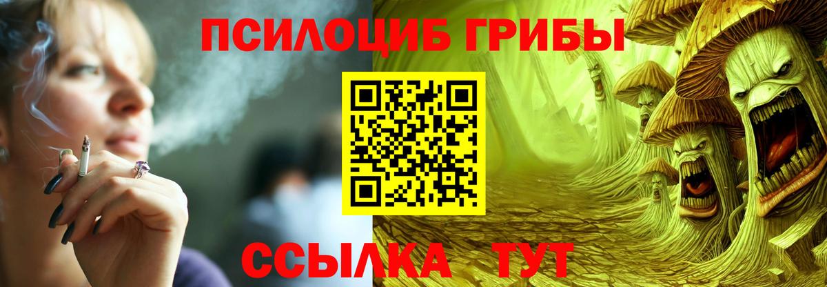 Энгельс  Псилоцибиновые грибы Psilocybe  Вход с VPN  Псилоцибиновые грибы мицелий 